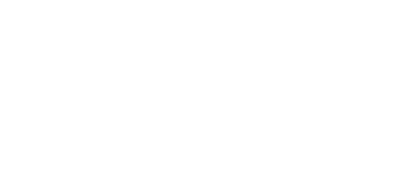 Curiosity Junkie logo